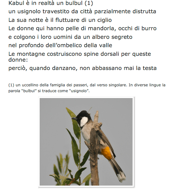 Screen Shot 2014-11-04 at 10.28.11 PM